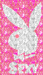 play boy